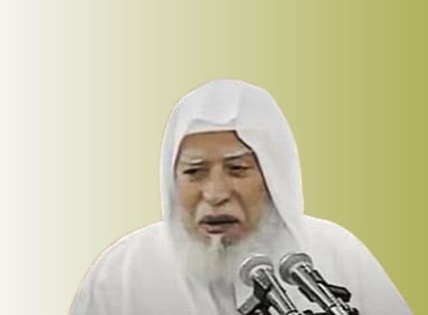 تفسير سورتي الفلق والناس